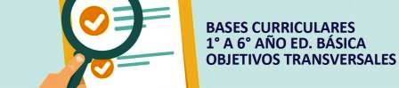 Bases curriculares