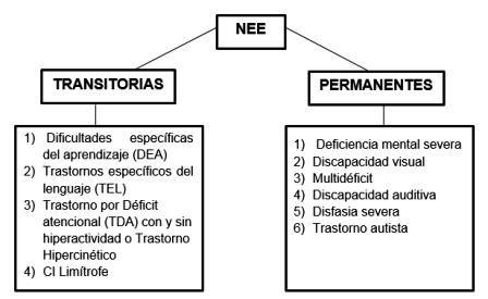NECESIDADES-ESPECIALES